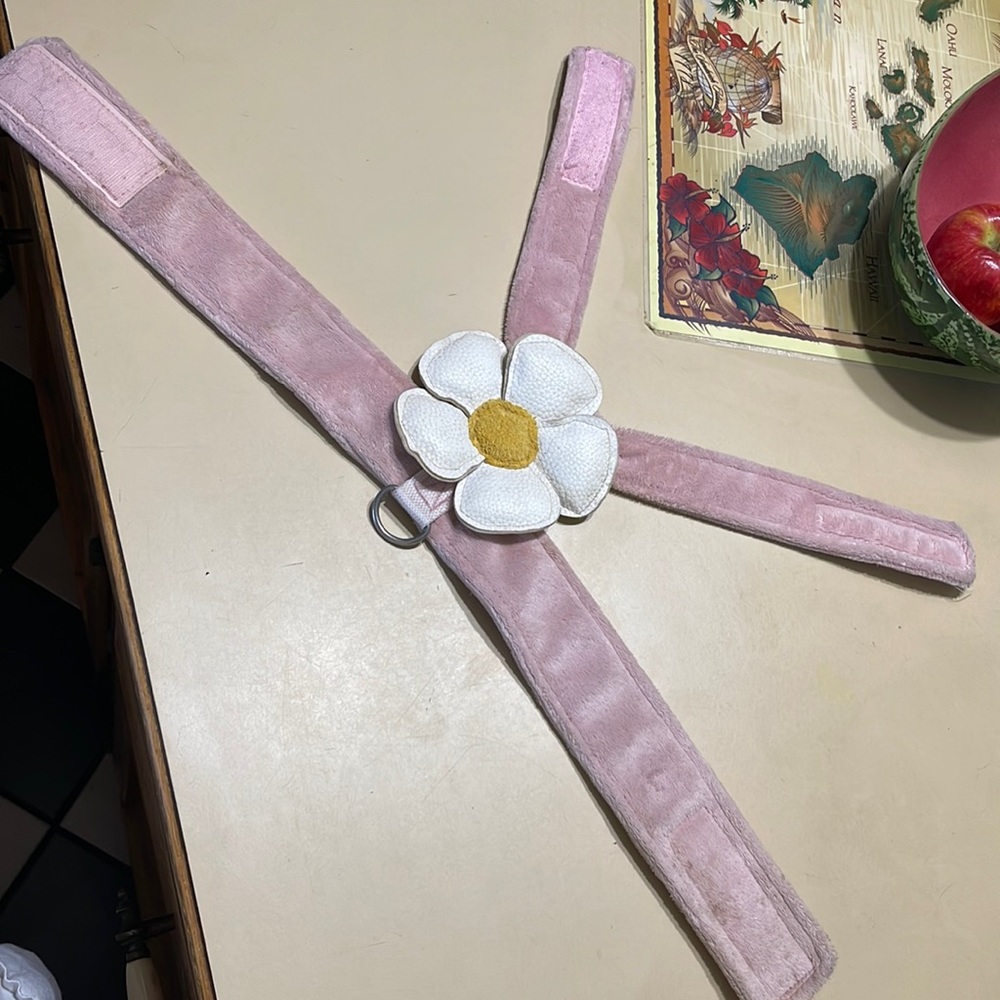 DAISY DOG HARNESS